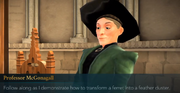 Ferret to Feather Duster Lecture 3