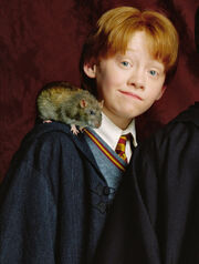 Pettigrew as , the Weasleys' pet rat