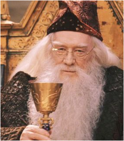 DUMBLEDORE CUP at