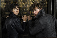 Fantastic-beasts-and-where-to-find-them-2-crimes-of-grindelwald-eddie-redmayne-katherine-waterson