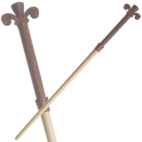 Gilderoy Lockhart's wand.