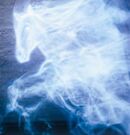 Ginny Patronus