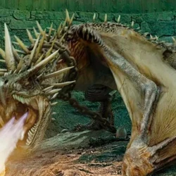 カテゴリ ドラゴン Harry Potter Wiki Fandom