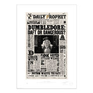 La Gazette du sorcier - Dumbledore : dingue ou dangereux ? - £179 – £349