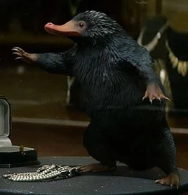 Pelúcio