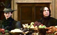 Pince and Snape.jpg