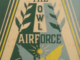 The Owl Airforce: True Life Tales of War in Europe