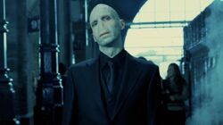 A vision of Voldemort at Platform Nine and Three-Quarters