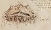A sketch of a  from Blubblerhouses, showing several long, hair-like growths
