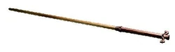 Lockhart's wand