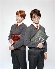 PromoHP1 Ron Weasley & Harry Potter