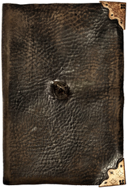 Tom Riddle's Diary