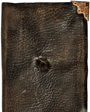 T M Riddle S Diary Harry Potter Wiki Fandom