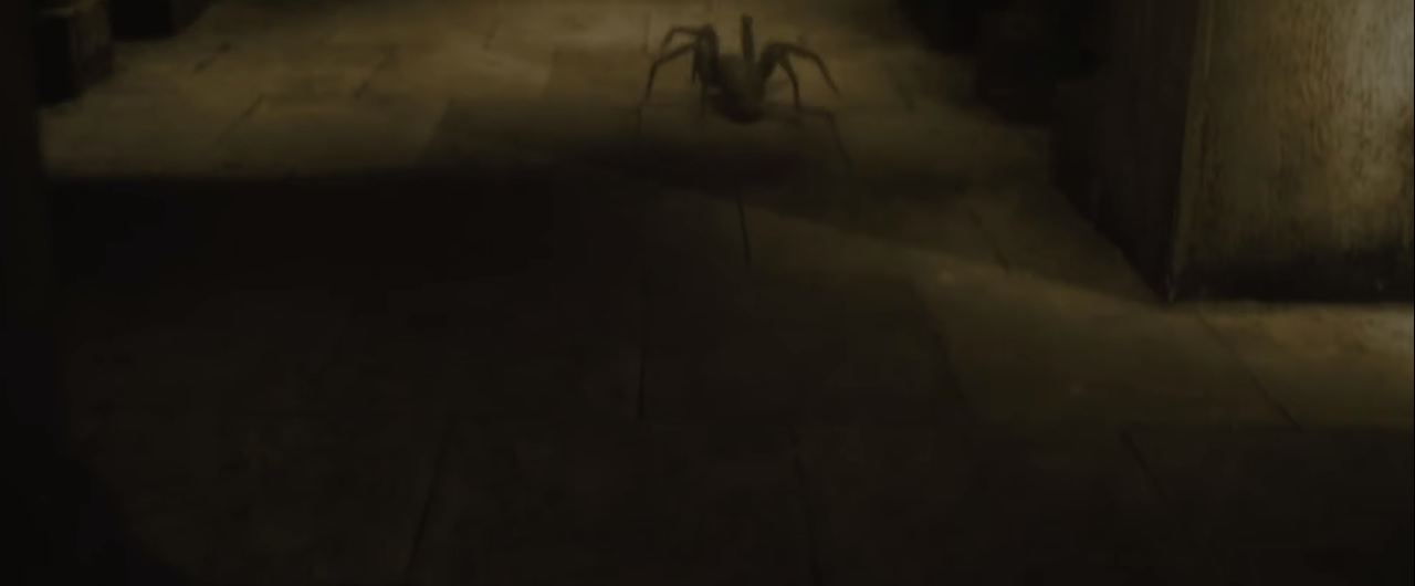 harry potter aragog