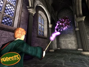 Карпе Ретрактум в действии