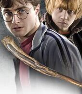 Blackthorn wand.jpg