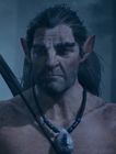 Dorran[12]