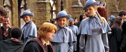 Fleur Delacour and Gabrielle Delacour talking to Ronald Weasley