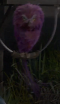 images Fwooper Quill fwooper harry potter wiki fandom
