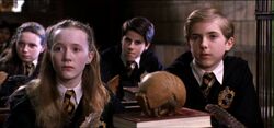 Hufflepuffs in Transfiguration class