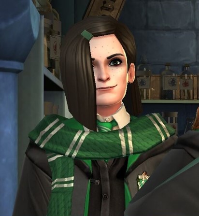 Harry Potter: Hogwarts Mystery, Harry Potter Wiki