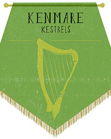 Kenmare Kestrels Harry Potter Wiki Fandom