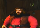 Rubeus Hagrid