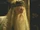 Halfblood-03430.jpg