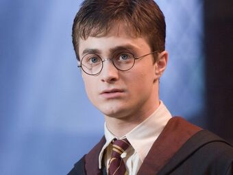 Pyatnadcatyj Den Rozhdeniya Garri Pottera Garri Potter Viki Fandom