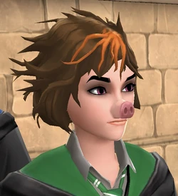 Merula z ryjem  po nieudanym zaklęciu