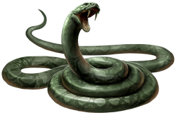 2 Maj, Nagini