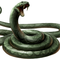 Snake Harry Potter Wiki Fandom