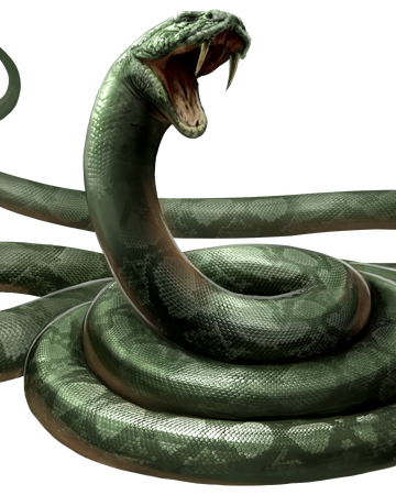 Snake Harry Potter Wiki Fandom