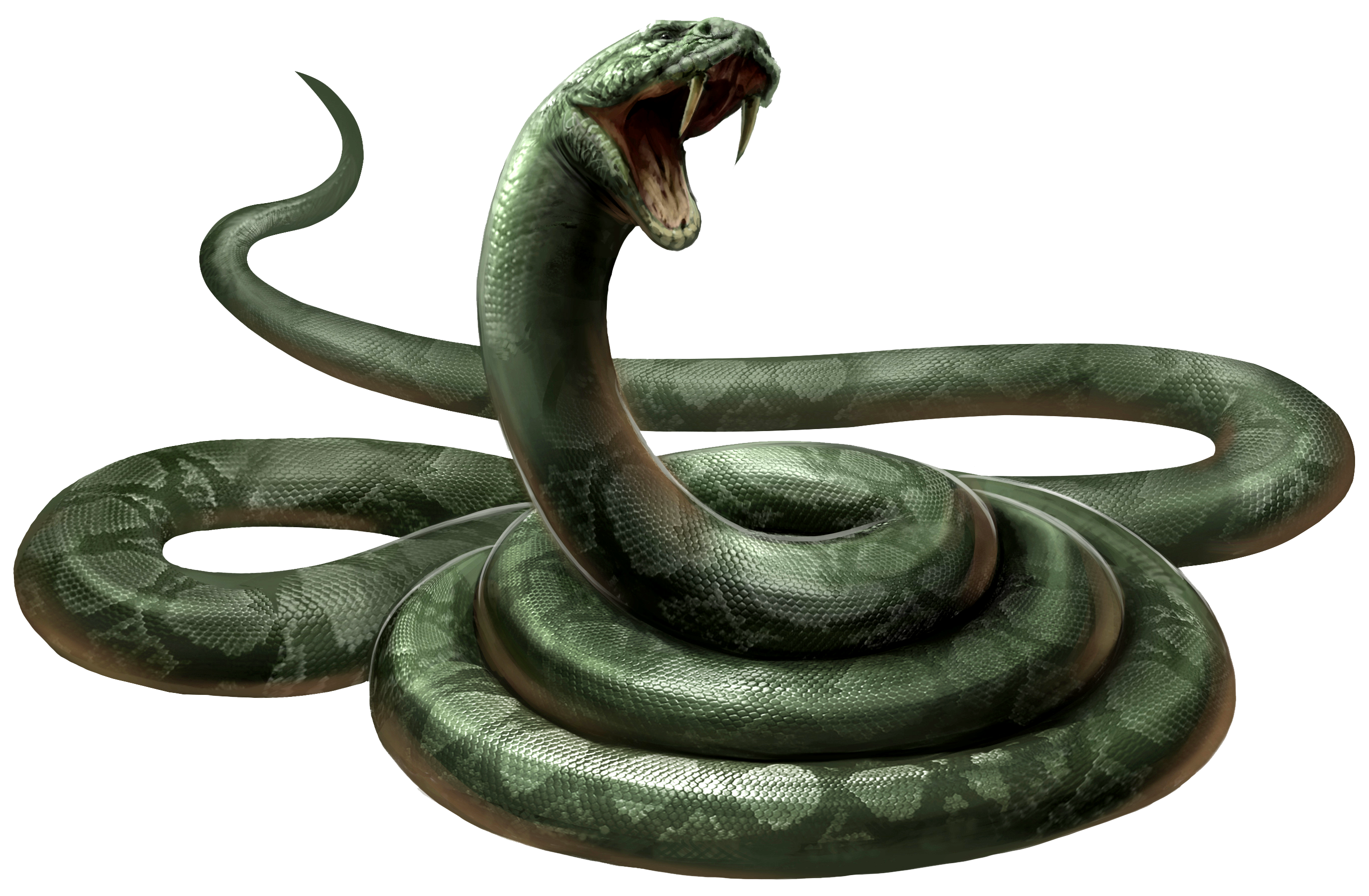 Serpente, Harry Potter Wiki
