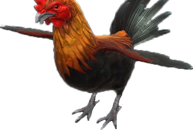 Le coq sportif wikipedia fr harry potter store