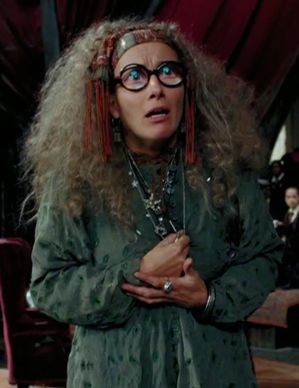 I feel like we don't talk about Trelawney enough