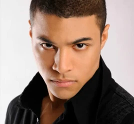 Эшли Вирджил