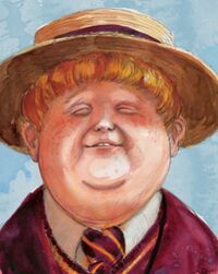 Dudley Dursley in PS Illustrated Edition
