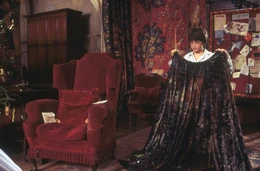 Harry-and-the-invisibility-cloak-1050x0-c-default