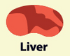 Liver BertieBotts