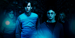 Neville Longbottom Harry Potter Wiki Fandom