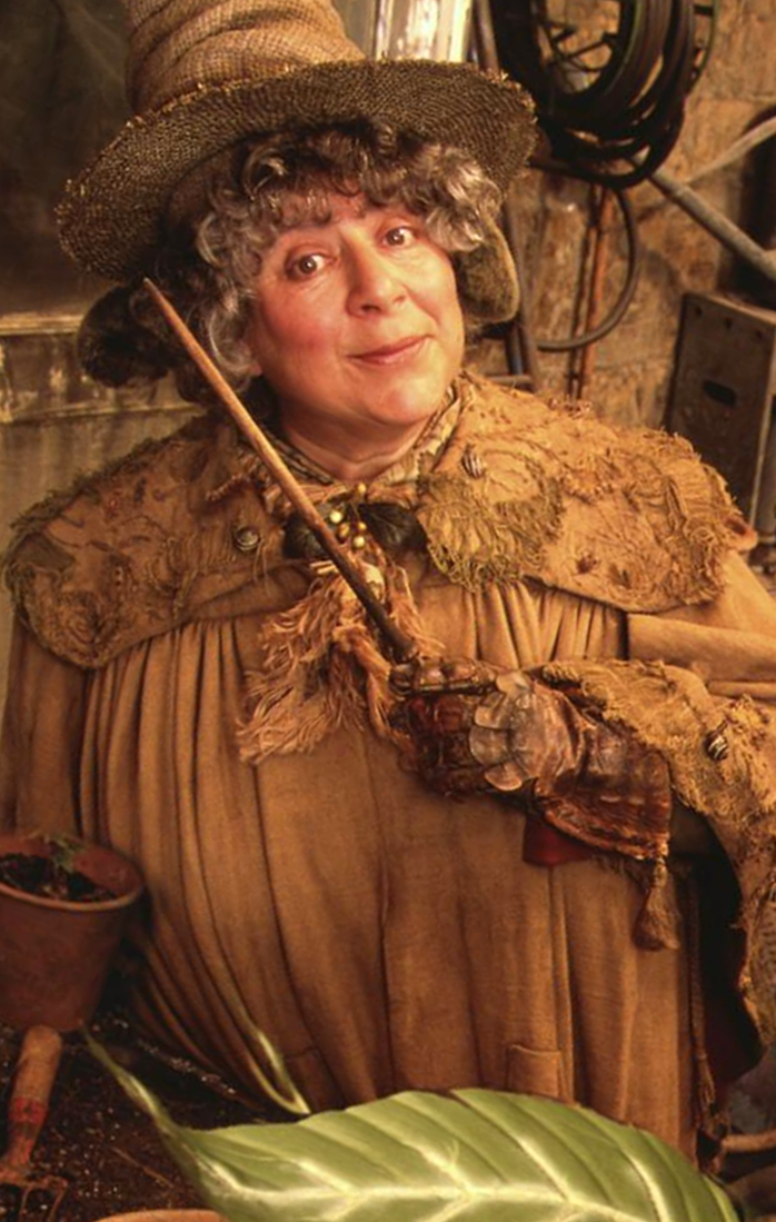 professor sprout mandrake