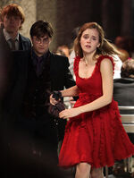 Ron, Harry and Hermione wedding attire