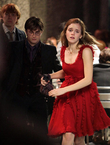 hermione and ron wedding