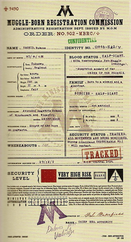 RubeusHagridMinistryFile