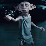 Dobby Dwor