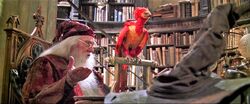 Fawkes sitting on his perch in Dumbledore's office