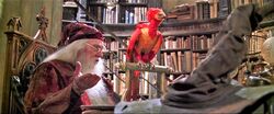 Fawkes and Dumbledore in the Headmaster's Office COSF