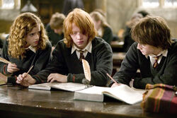 Hermione-granger-ron-weasley-harry-potter-hp4-study-6x4