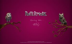 Pottermore Hotsite - Potterish [Ano 09]